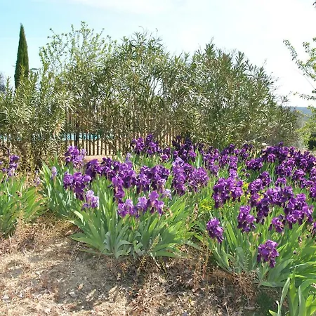 Maison Chemin D'uzes Semesterbostad Blauzac (Gard)